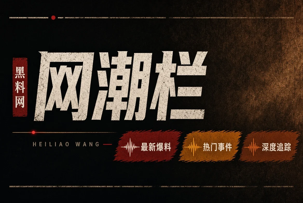 网潮栏传播观察